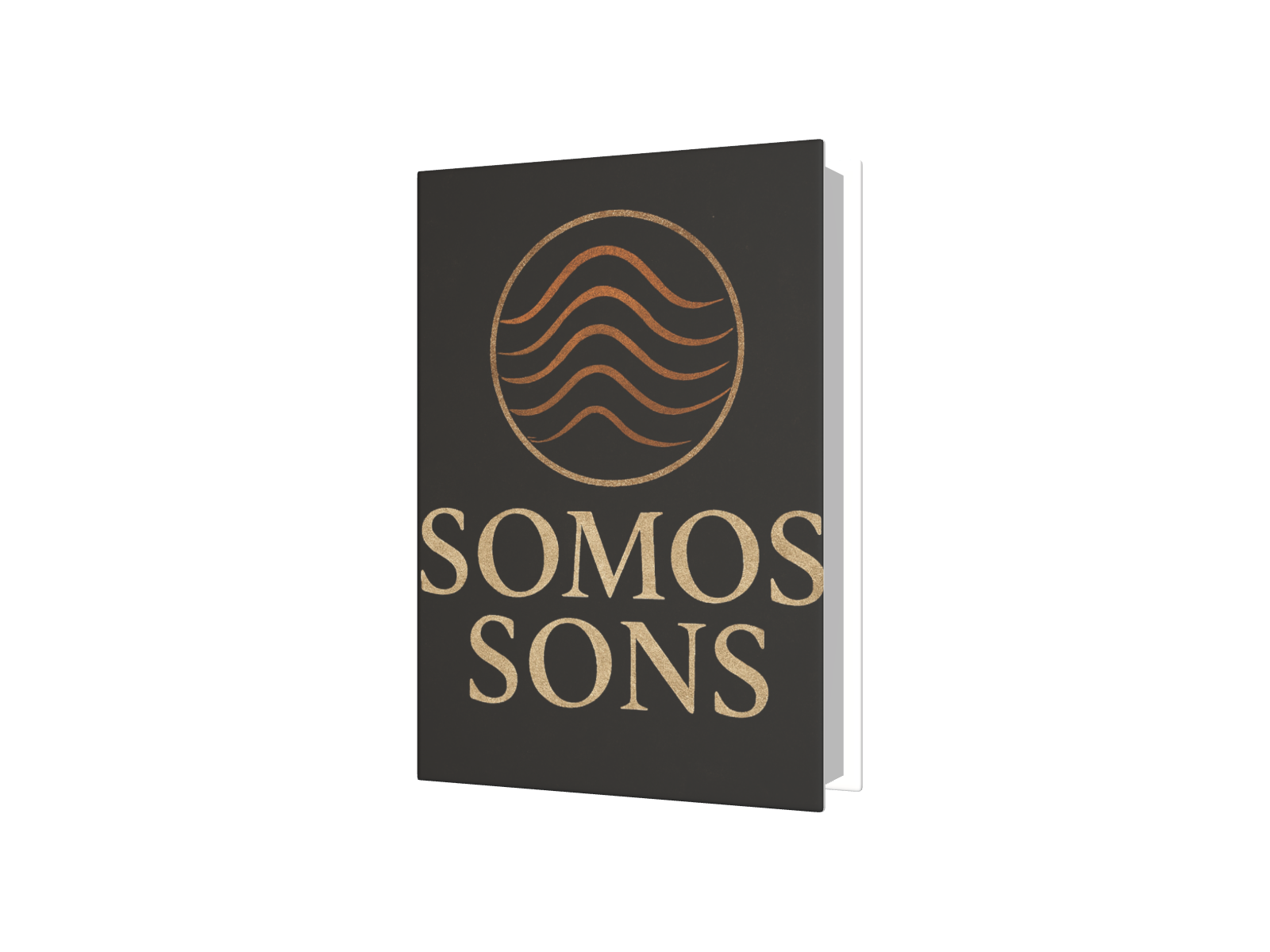 Livro 3D.png